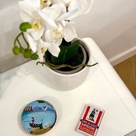 Apartment Maison Miana *